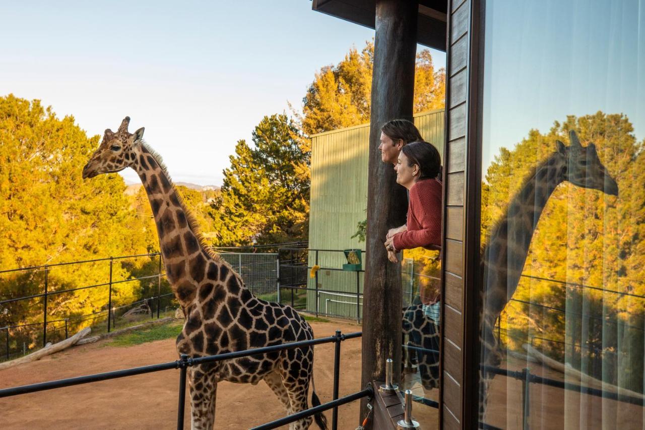 Jamala Wildlife Lodge Κανμπέρα Εξωτερικό φωτογραφία